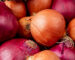 Onion price rate and central government solution 2022