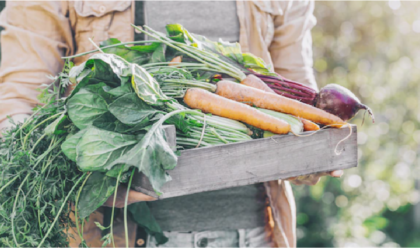 महाराष्ट्र में सब्जियों के दाम बढ़ सकते हैं |vegetable rate hike