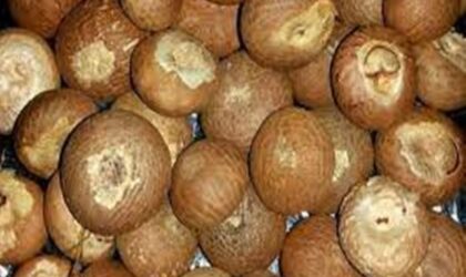 किसान सुपारी (arecanuts) के आयात को नियंत्रित करने केंद्र से आग्रह क्यों कर रहे हैं?