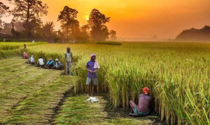 पीएमएफबीवाई नंबर 1 फसल बीमा योजना विश्व स्तर पर”: नरेंद्र सिंह तोमर | “PMFBY, Crop Insurance Scheme Globally”: Narendra Singh Tomar