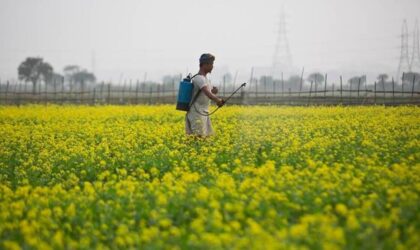 मजबूत मांग के कारण कृषि-रसायन क्षेत्र का दर 15-17% से बढ़ेगा: क्रिसिल | Agro-chemicals sector to grow at 15-17% due to strong demand: CRISIL