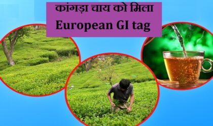 हिमाचल प्रदेश की कांगड़ा चाय को यूरोपीय GI लेबल मिला | Kangra Tea from Himachal Pradesh Receives a European GI tag