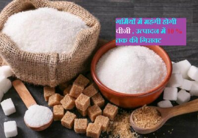 गर्मी के मौसम में महंगी होगी चीनी, उत्पादन में 10 फीसदी तक की गिरावट | Sugar to become expensive during summer season as production set to fall by 10%