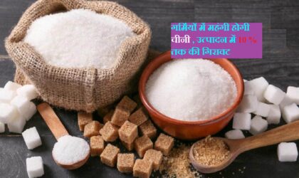 गर्मी के मौसम में महंगी होगी चीनी, उत्पादन में 10 फीसदी तक की गिरावट | Sugar to become expensive during summer season as production set to fall by 10%